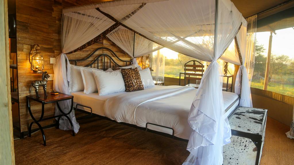 Best Affordable Safari Company in Arusha and Moshi Tanzania