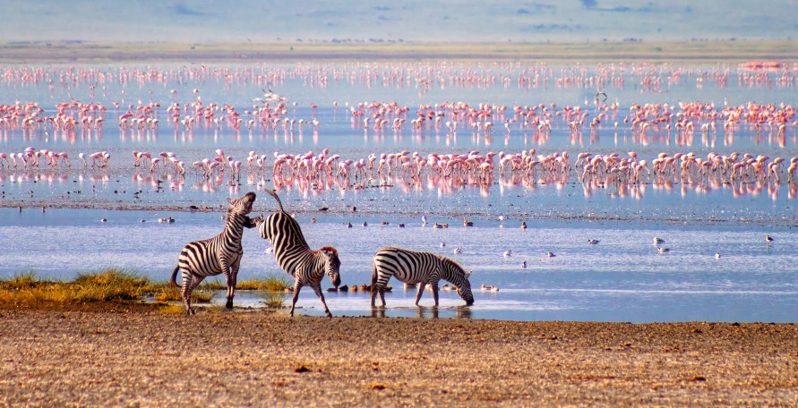 Budget Ngorongoro Crater Safari from Arusha Budget Ngorongoro Crater Safari from Arusha
