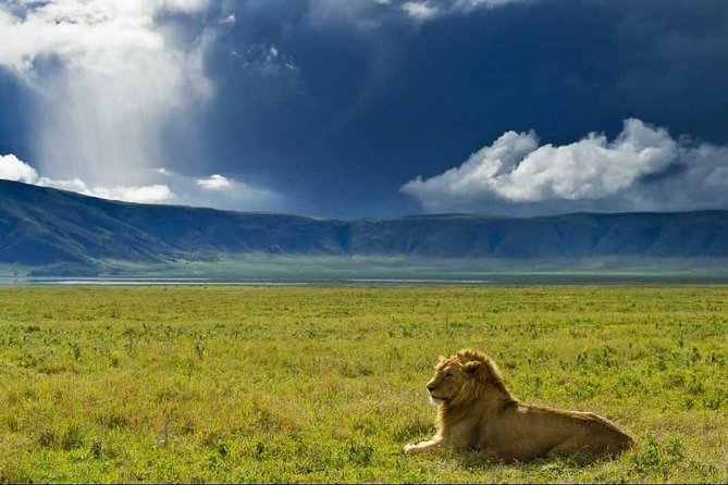 Budget Ngorongoro Crater Safari from Arusha Budget Ngorongoro Crater Safari from Arusha
