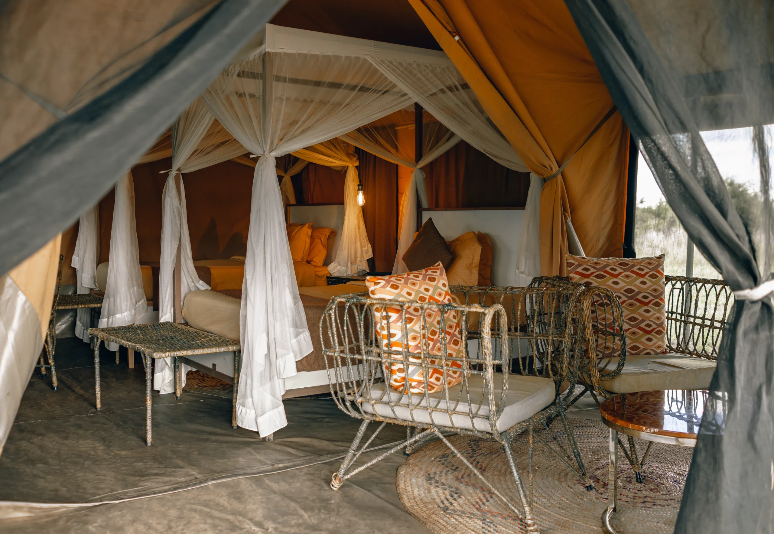 Tanzania Group Joining Safari