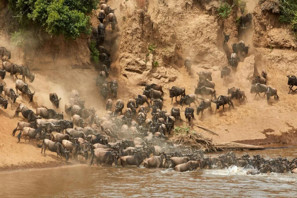 Best Local Tour Operator in Arusha and Moshi, Tanzania Best Local Tour Operator in Arusha and Moshi, Tanzania