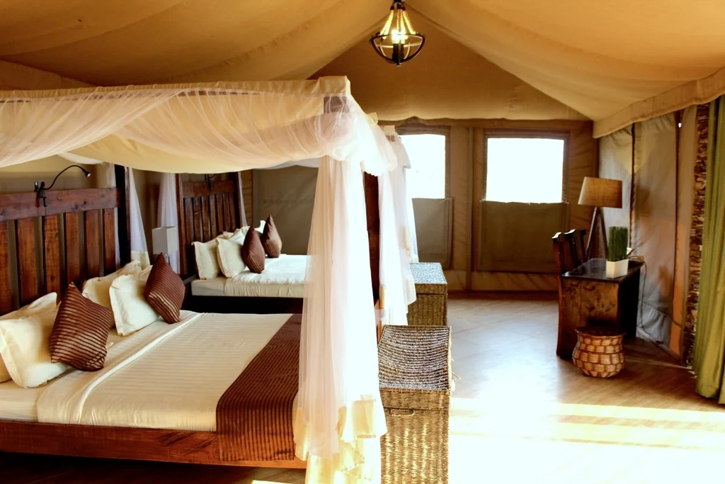 Four Days Serengeti Safari from Arusha Four Days Serengeti Safari from Arusha