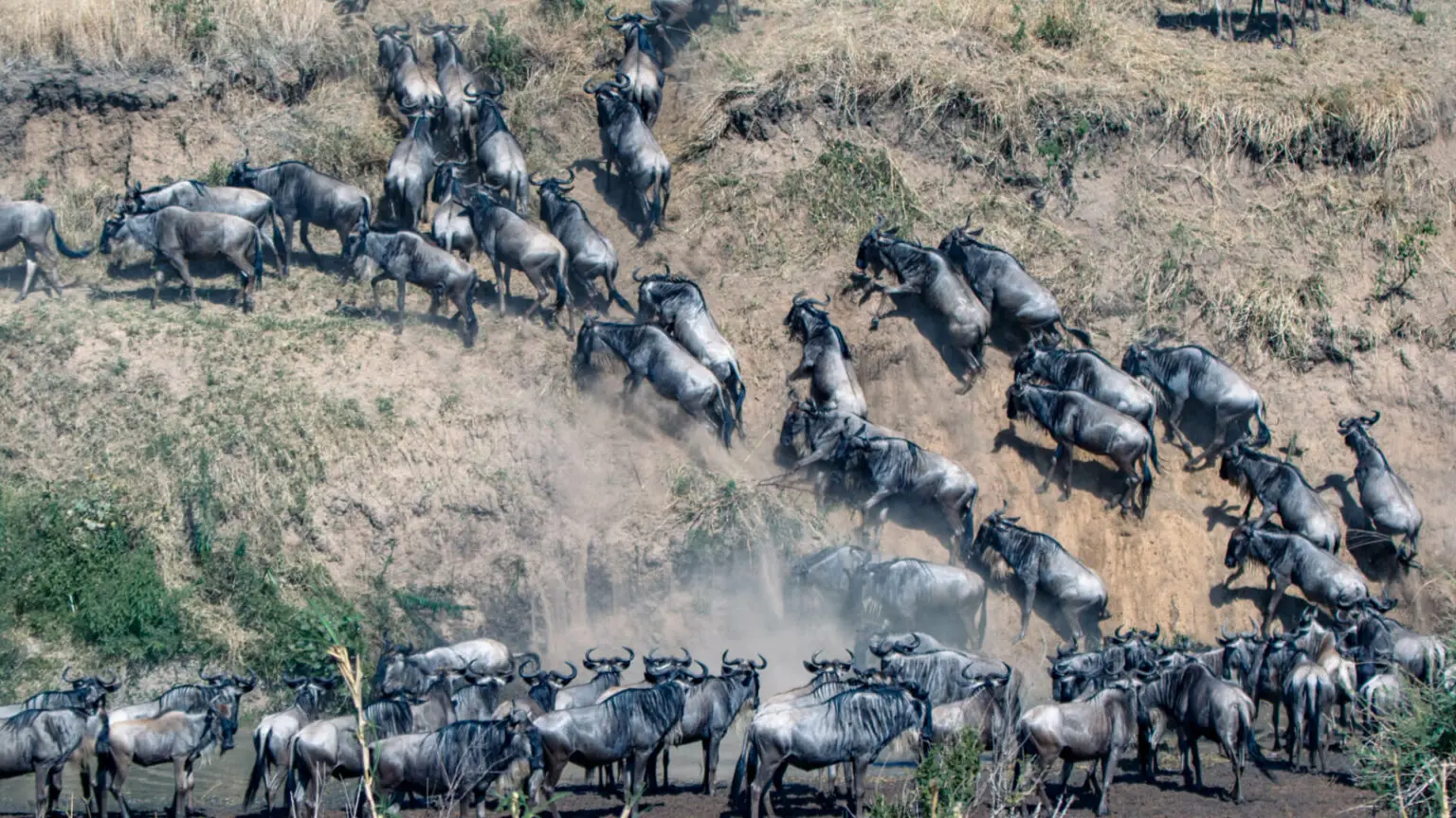 Best 5 Days Great Migration Safari Tanzania | July–August Best 5 Days Great Migration Safari Tanzania | July–August
