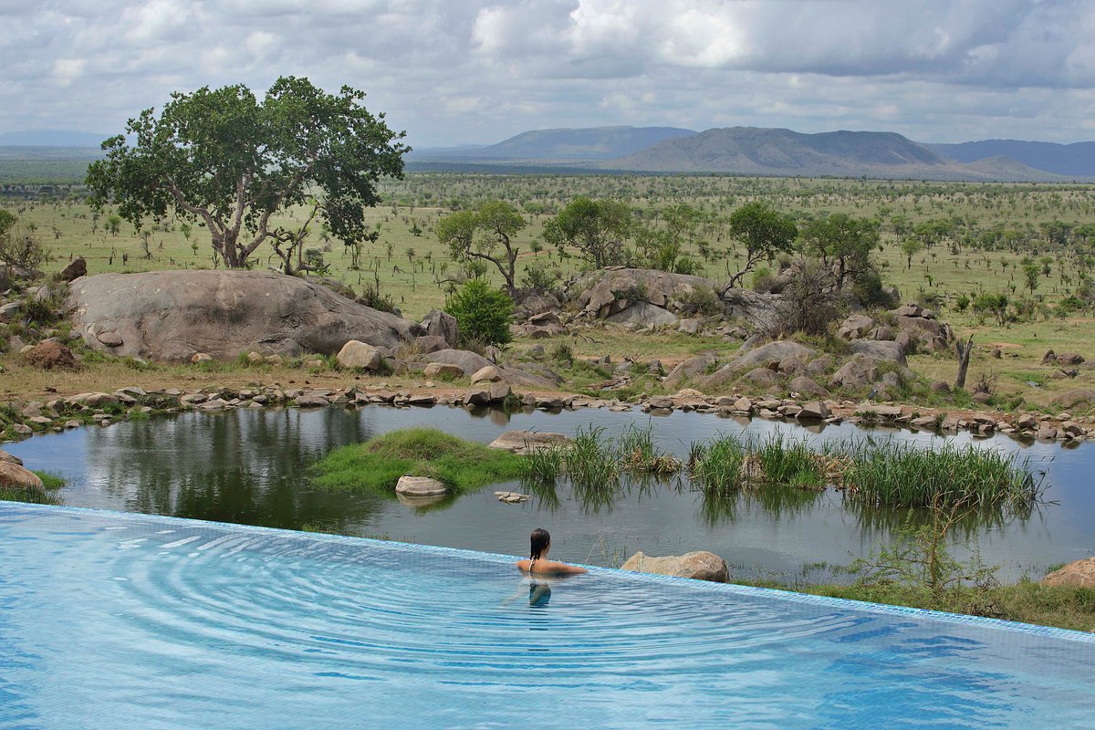 Tanzania Serengeti Safari: Discover Africa’s Most Iconic Wildlife Destination Tanzania Serengeti Safari: Discover Africa’s Most Iconic Wildlife Destination
