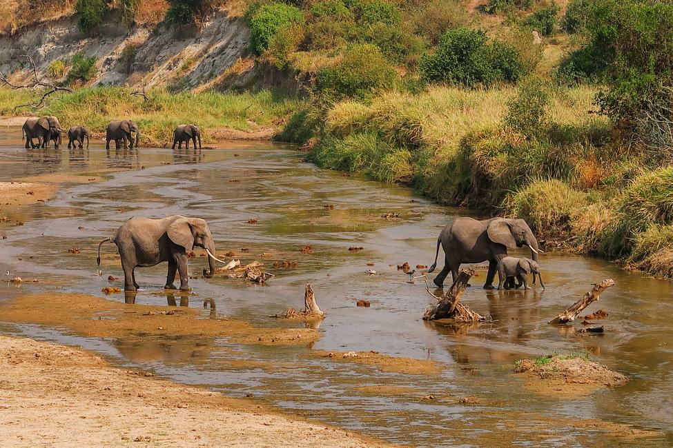 Tarangire Serengeti Ngorongoro Safari 2026/2027 Tarangire Serengeti Ngorongoro Safari 2026/2027