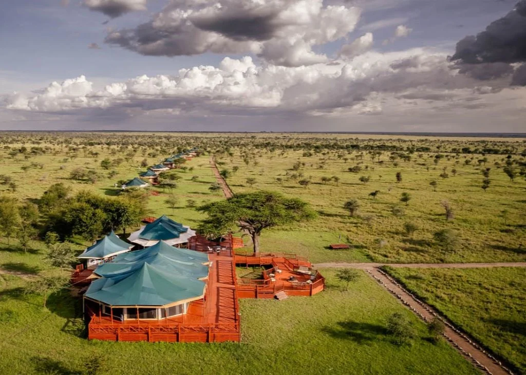 Serengeti, Ngorongoro and Tarangire Safari: Experience Northern Tanzania With Us