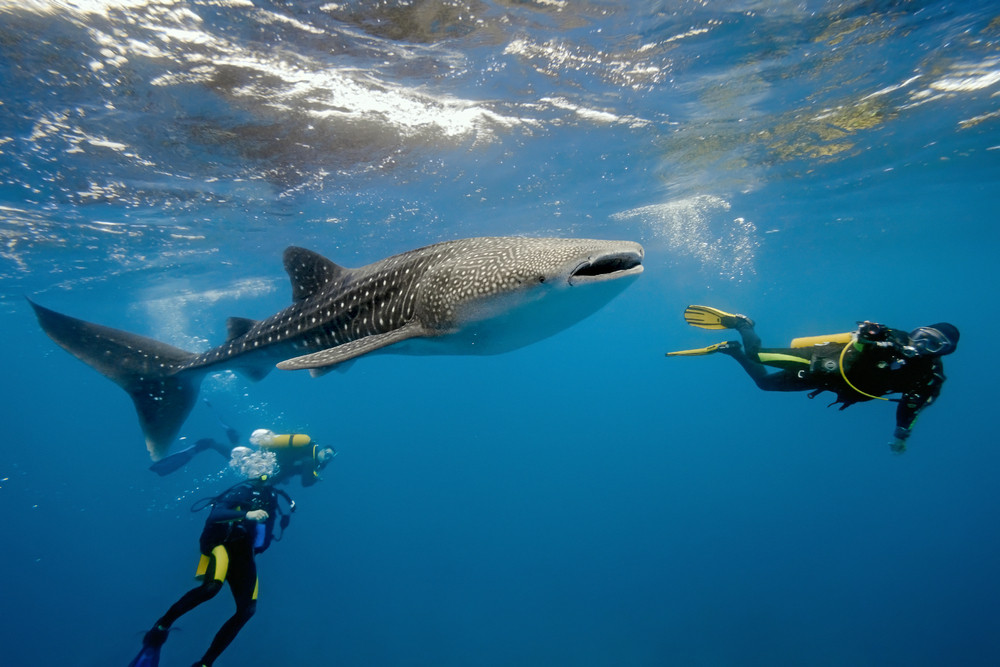 Best 10 Day Serengeti Migration Safari and Zanzibar Tropical Escape