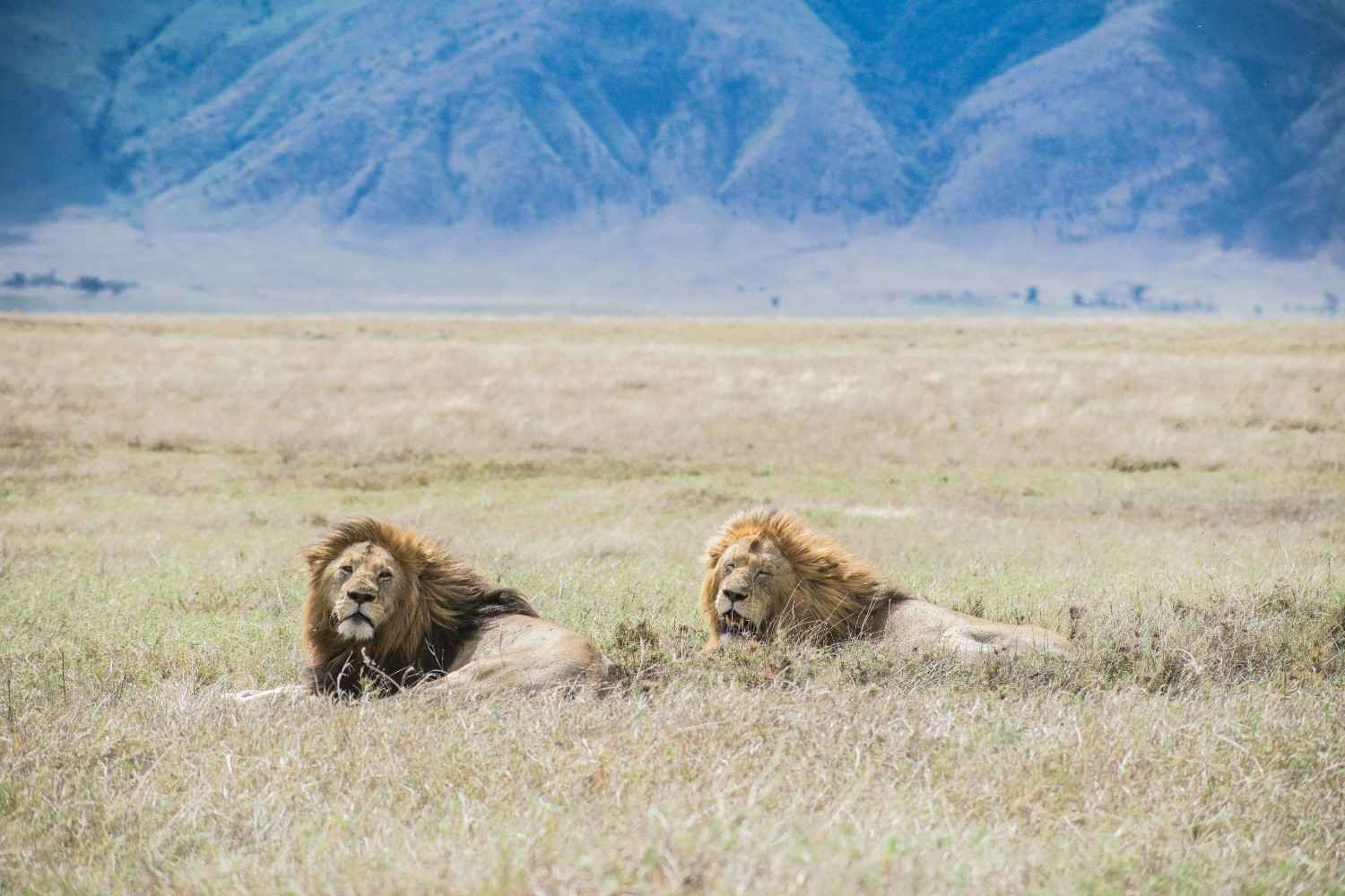 Best Countries to Visit in October