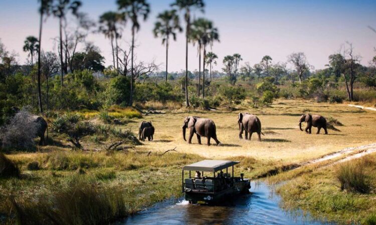 Best Local Tour Operator in Arusha and Moshi, Tanzania