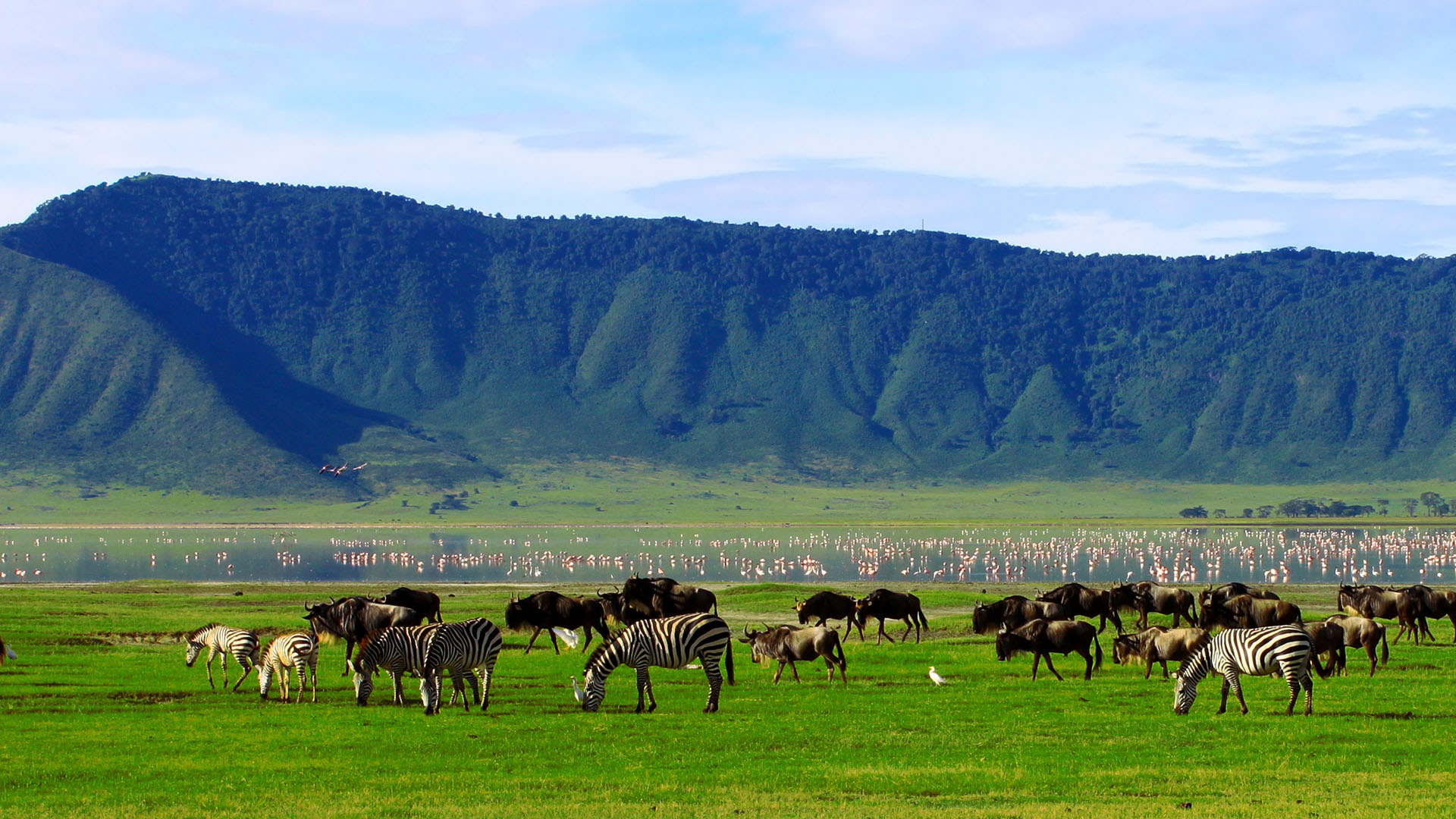 Best of Tanzania 2026: Northern Circuit Safari &amp;amp; Zanzibar Beaches