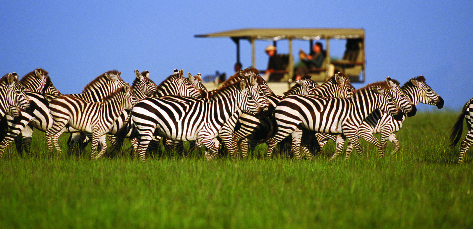 Book Safari Tanzania