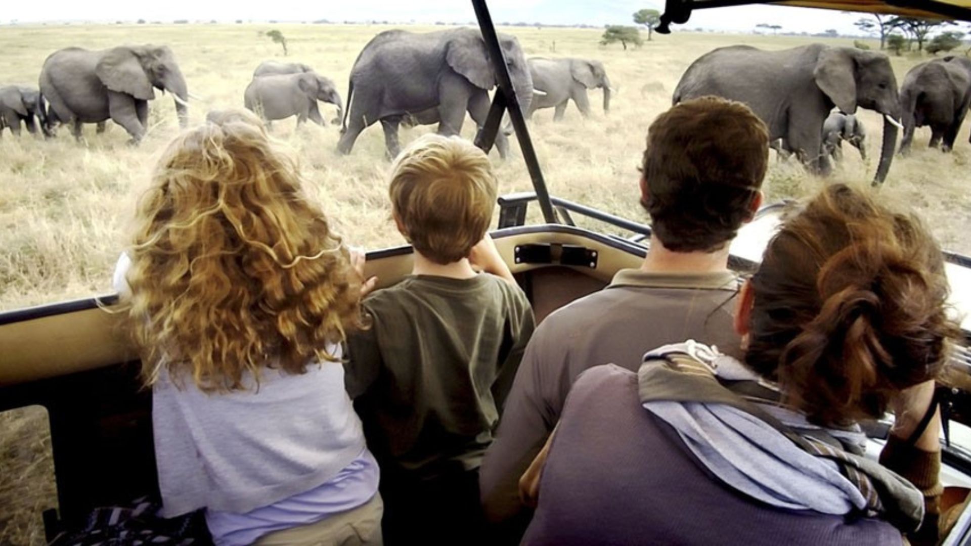 Family Adventures 2026