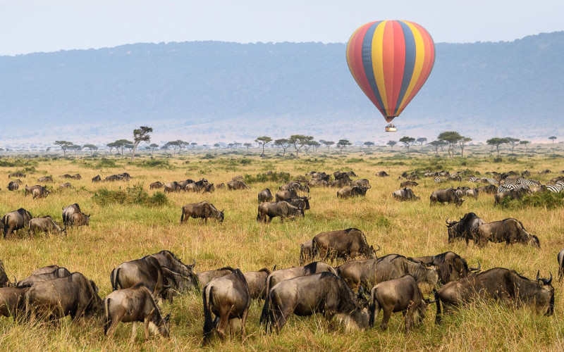 Great Migration 2026: Where to See the Wildebeest Herds in June, July and August