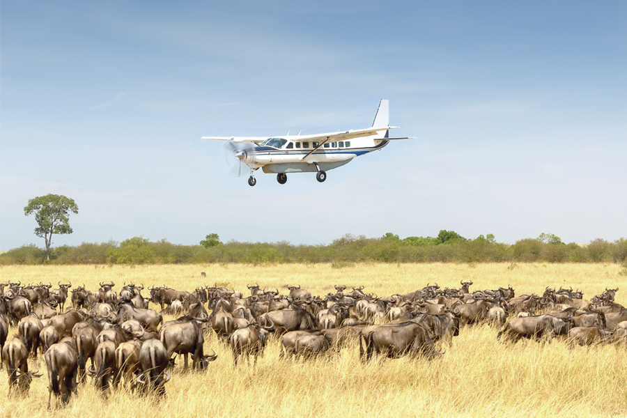 How to Fly from the Serengeti to Zanzibar in 2026