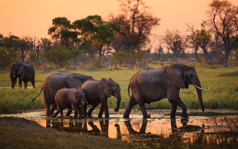 Is March a Good Time to Visit Tanzania? (2026 Travel Guide by Tanzania Safari Source)