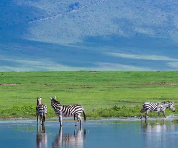 Ngorongoro Crater: The Eighth Wonder of the World