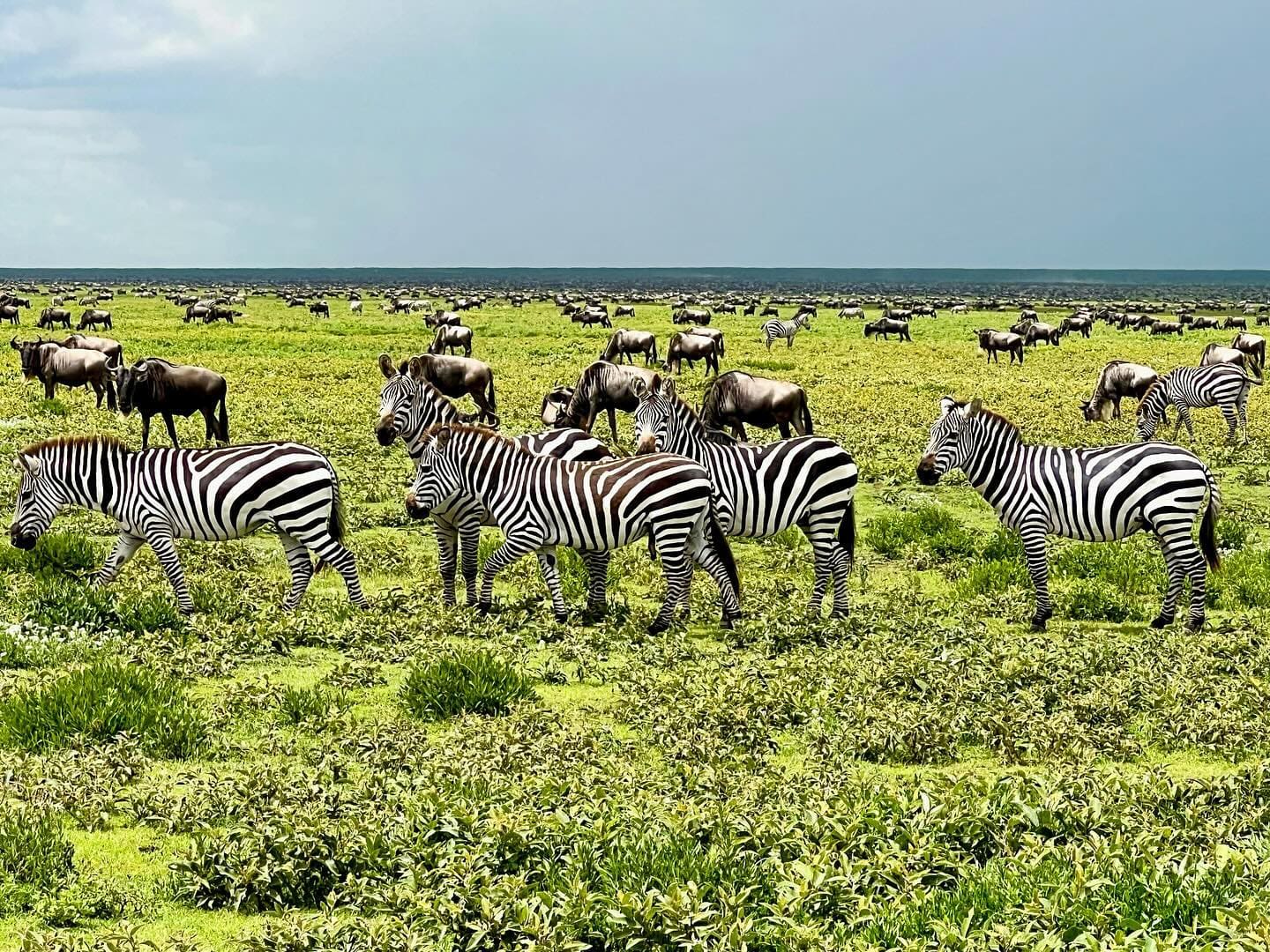 Photography Safaris January 2026