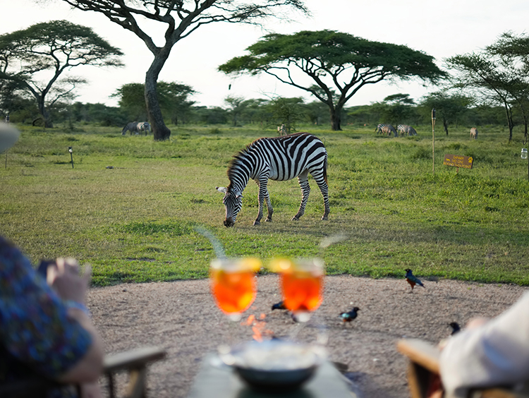 Planning Your Tanzania Safari for February: Everything You Need to Know