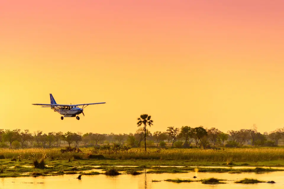 Trusted Local Safari Company for First-Time Travelers