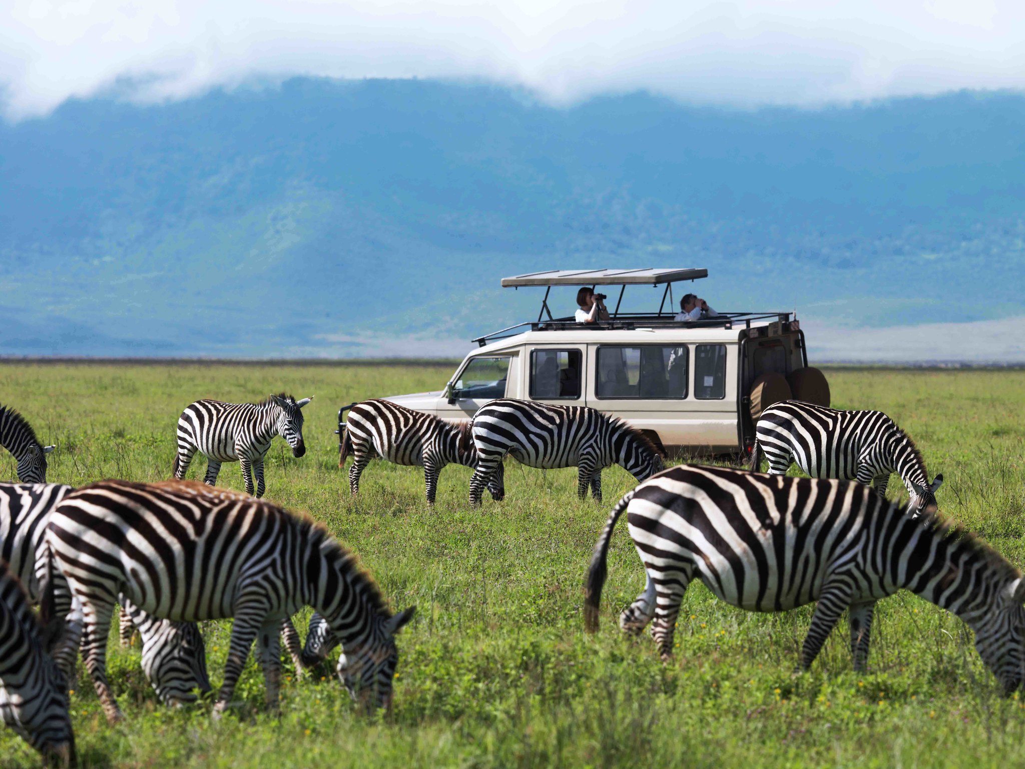 Tanzania Visa and Travel Requirements – Complete Guide by Tanzania Safari Source