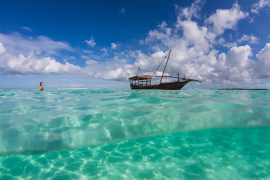 Top Rated Tanzania Safari &amp; Zanzibar Packages for January 2026