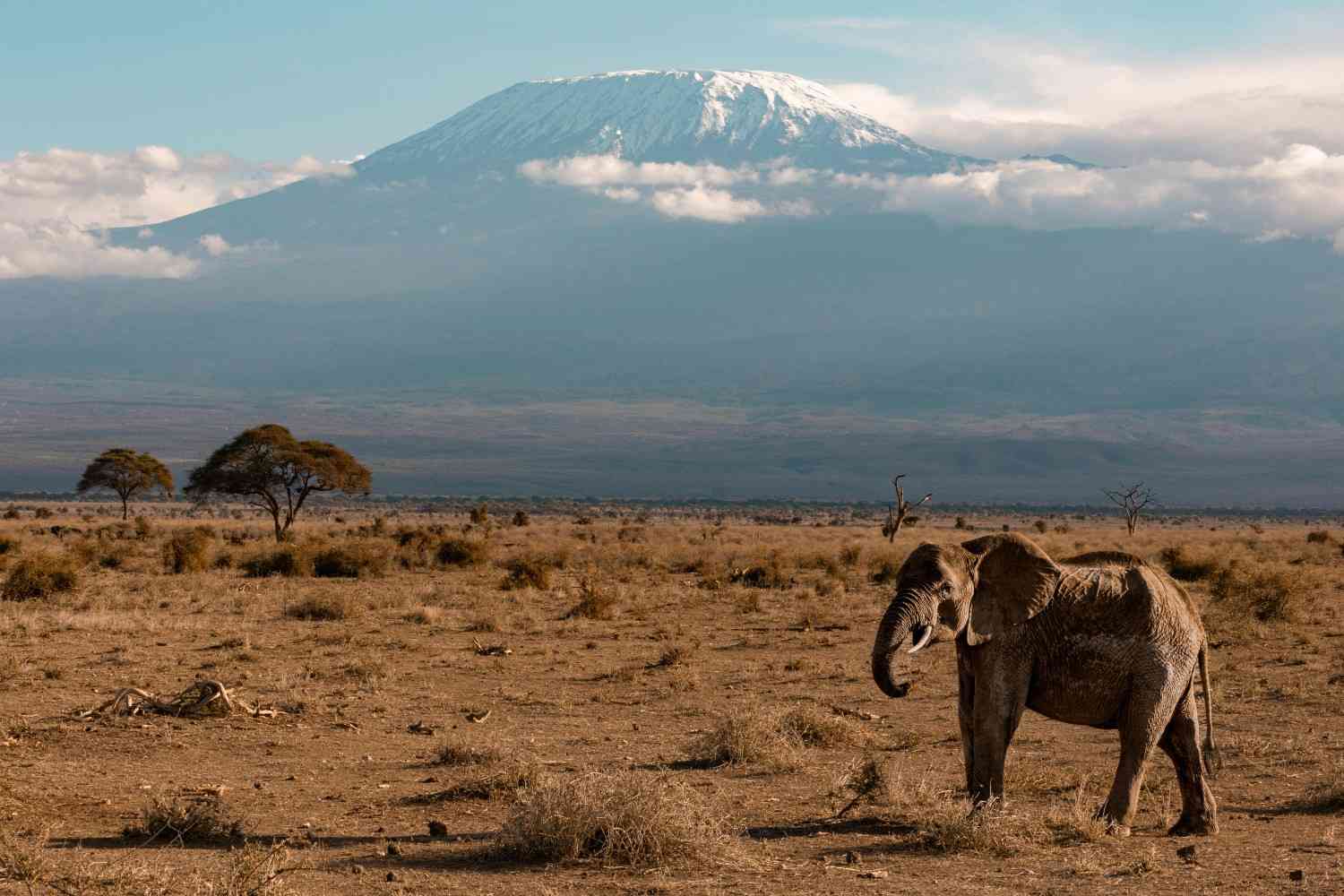 Where is Mount Kilimanjaro Located
