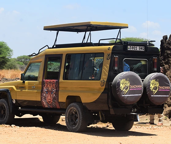Wildlife Safari Adventure