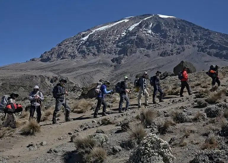 Kilimanjaro Trekking Marangu Route 5 Days