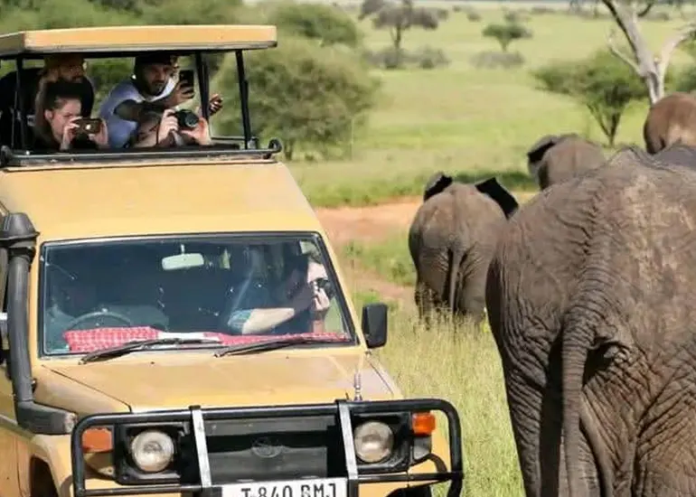5 days joining safari Tanzania - Serengeti & Ngorongoro crater