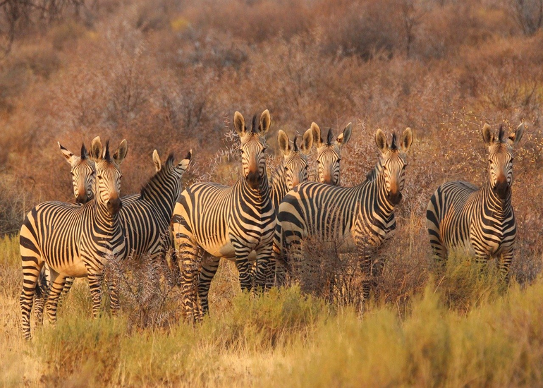 5 Days  Serengeti and Ngorongoro Crater