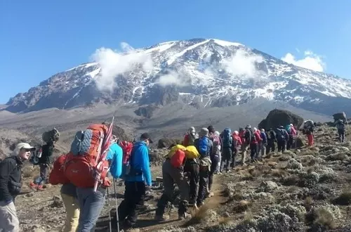 Kilimanjaro trek - 5 days - Marangu route