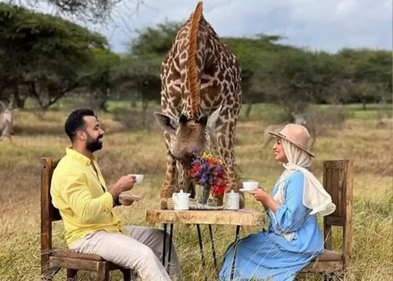 Honeymoon Tanzania Safari