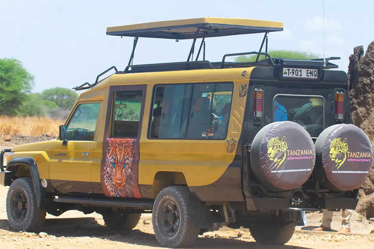 Cheapest Serengeti Migration Northern Circuit Safari